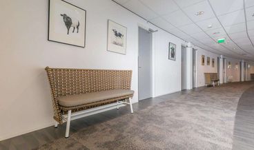 Bild på Halvpensionspaket