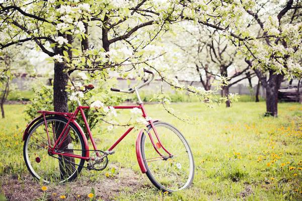 Cykel Special
