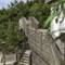 Treetop Spa Hangout & Hotel