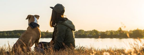 Hotell där hundar är tillåtna i Ystad