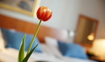 Bild på Standard Family Room-2 Twin Beds Non Refundable Free WiFi Free self parking Free breakfast
