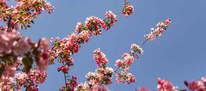 Early Bird: Spring Sale - upp till 65% rabatt