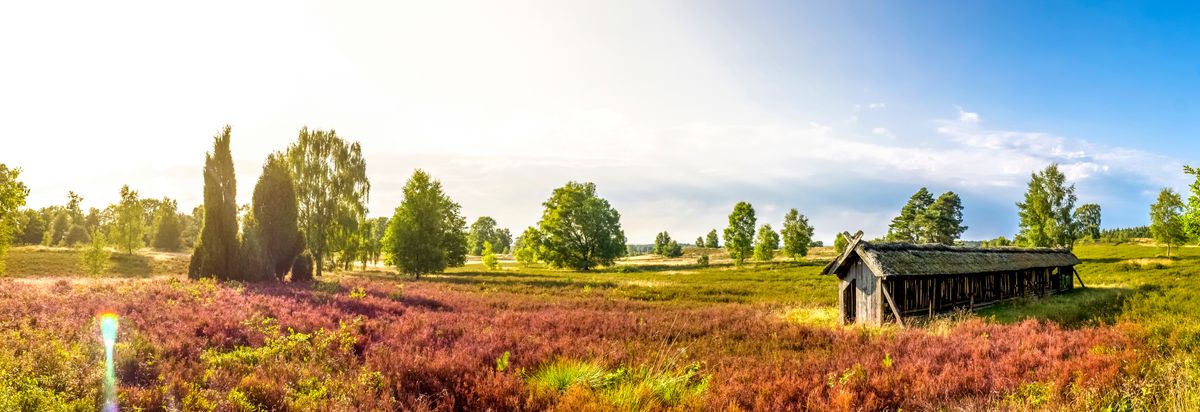 Letar du barnvänliga hotell i Niedersachsen?