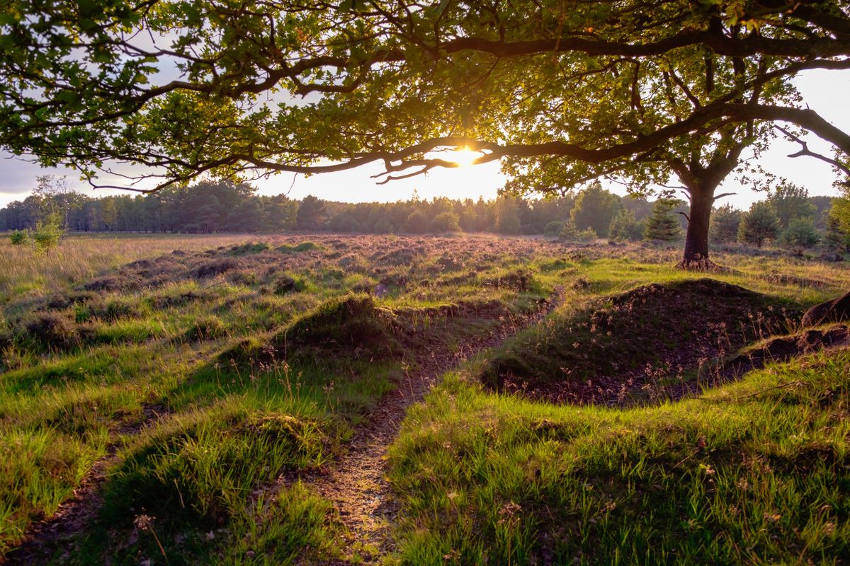 Hotell i Drenthe