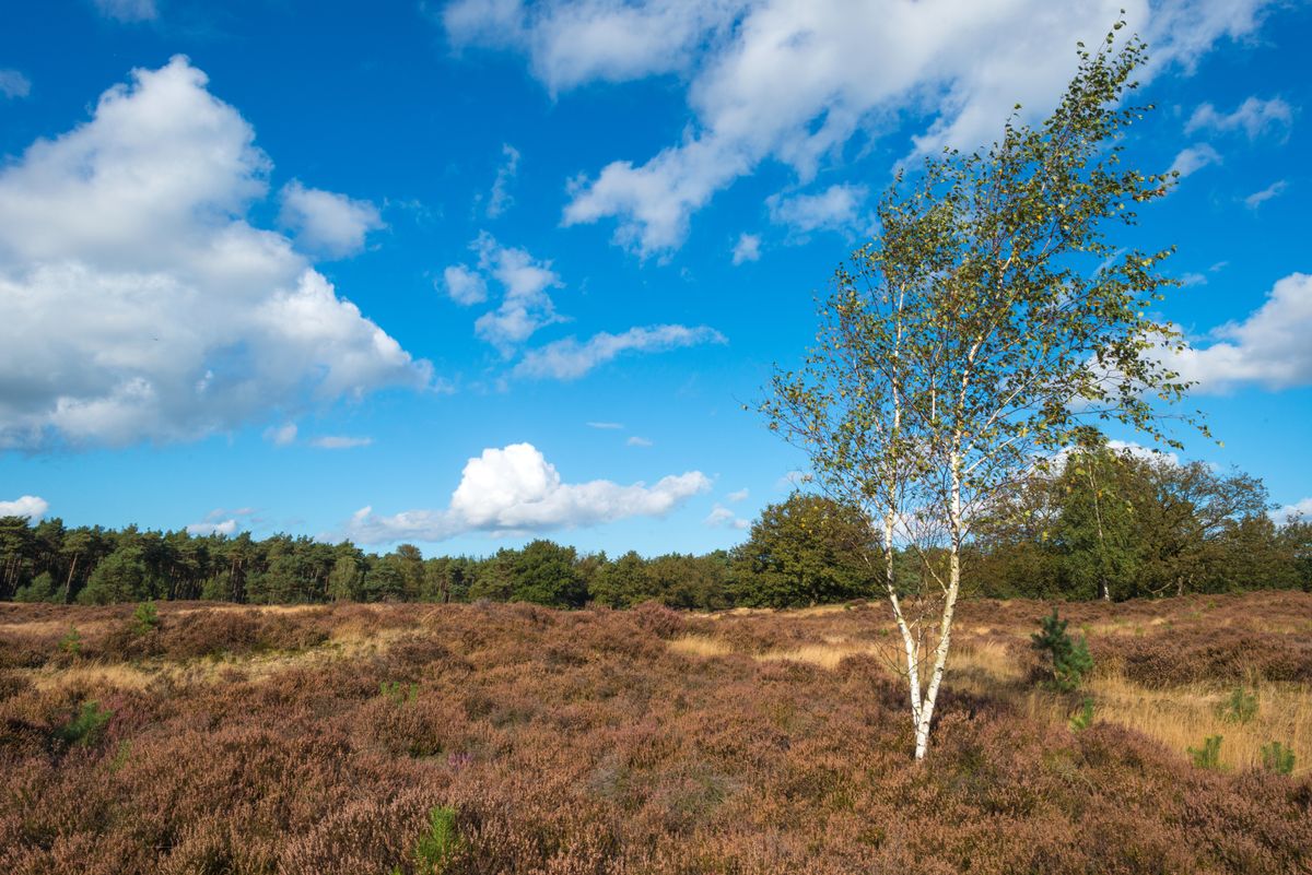 Hotell i Gelderland