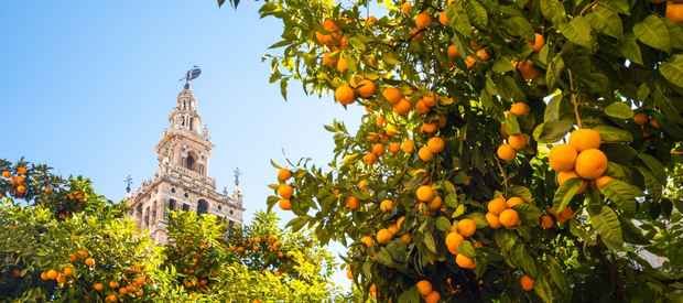 Vad ska man göra på sin stadsresa till Sevilla?