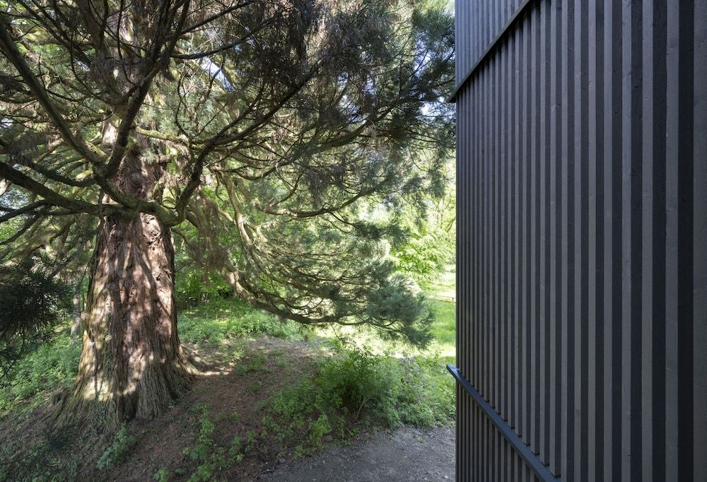 Bild på Waldzimmer beim Bergmammut