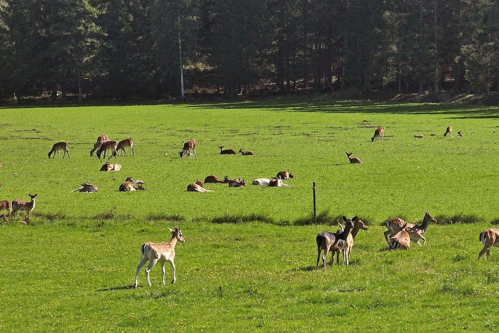 Generell