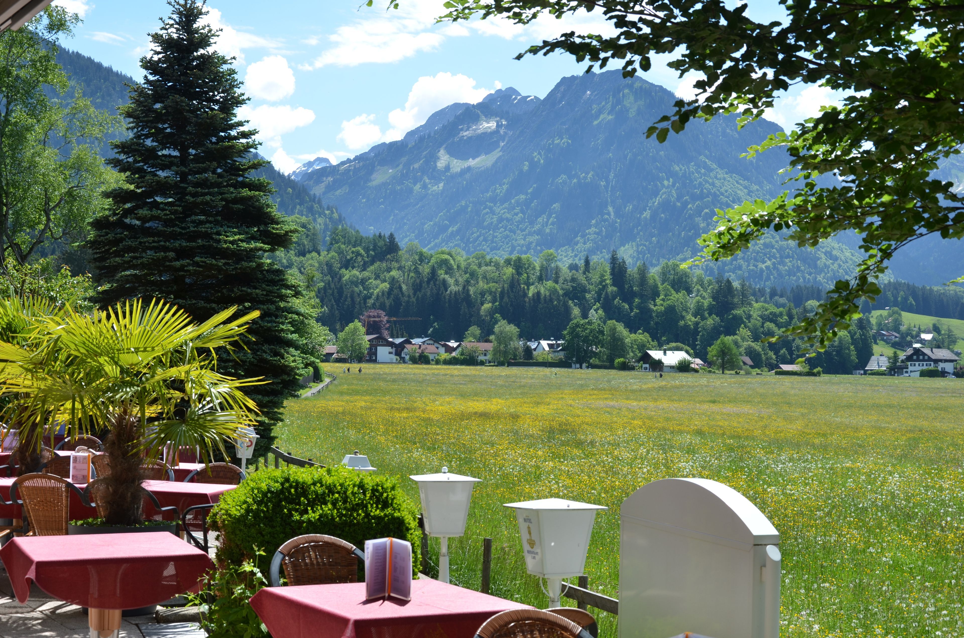 ALL