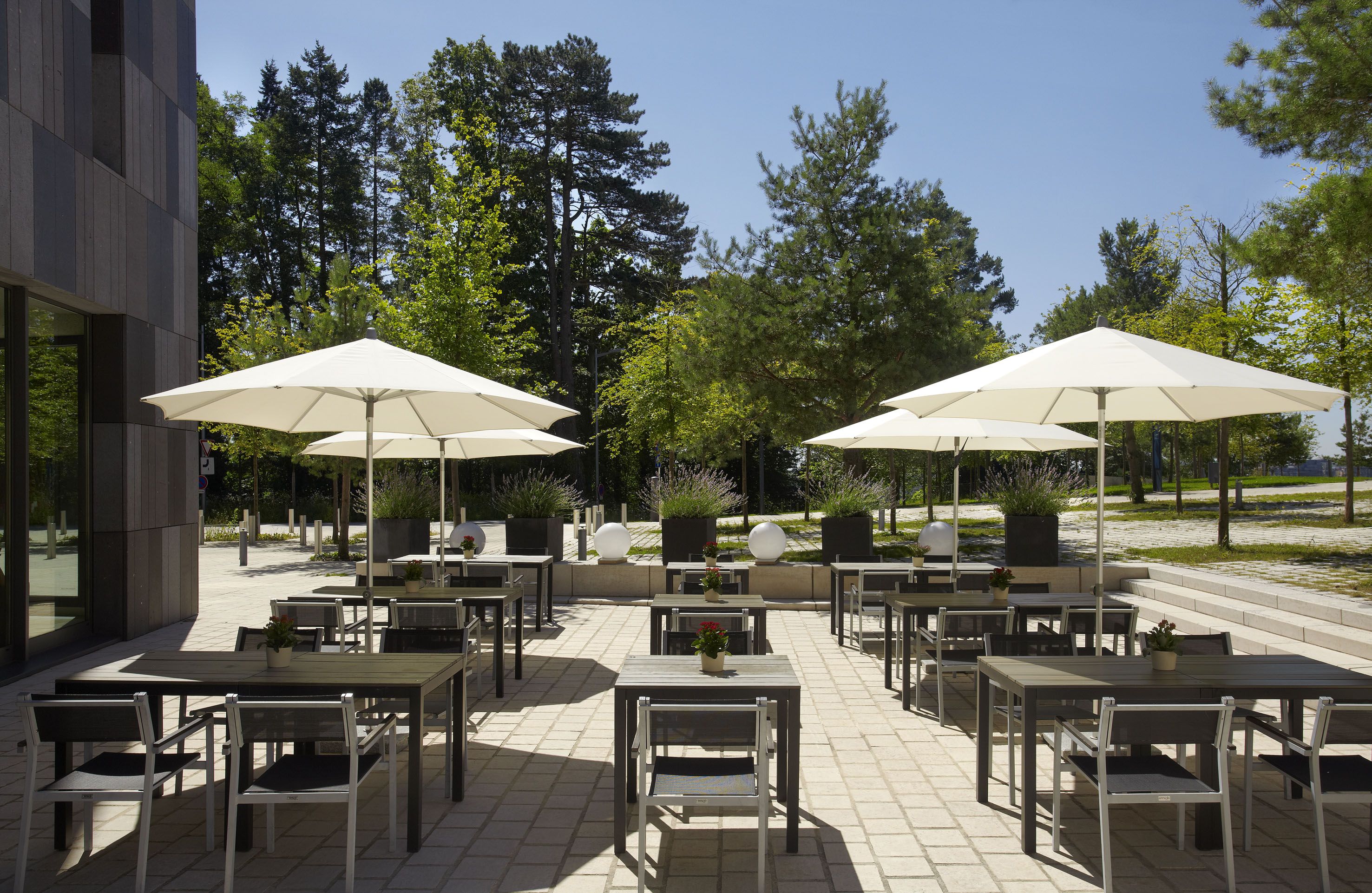 Restaurang/bar