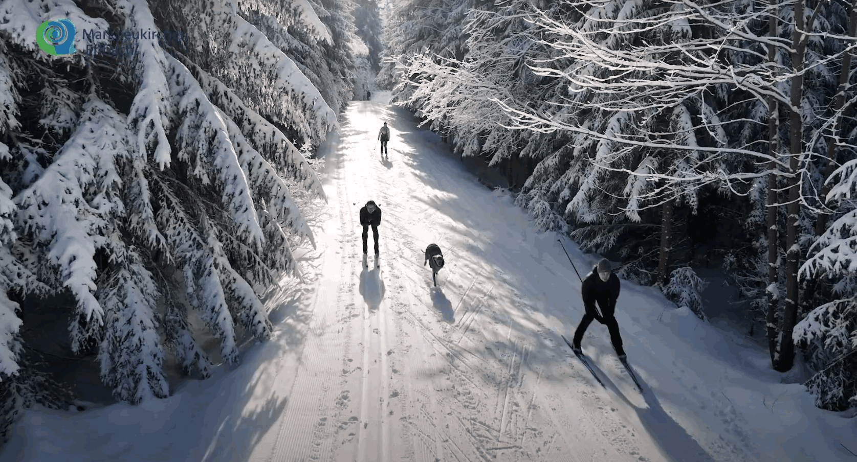 Skidområde