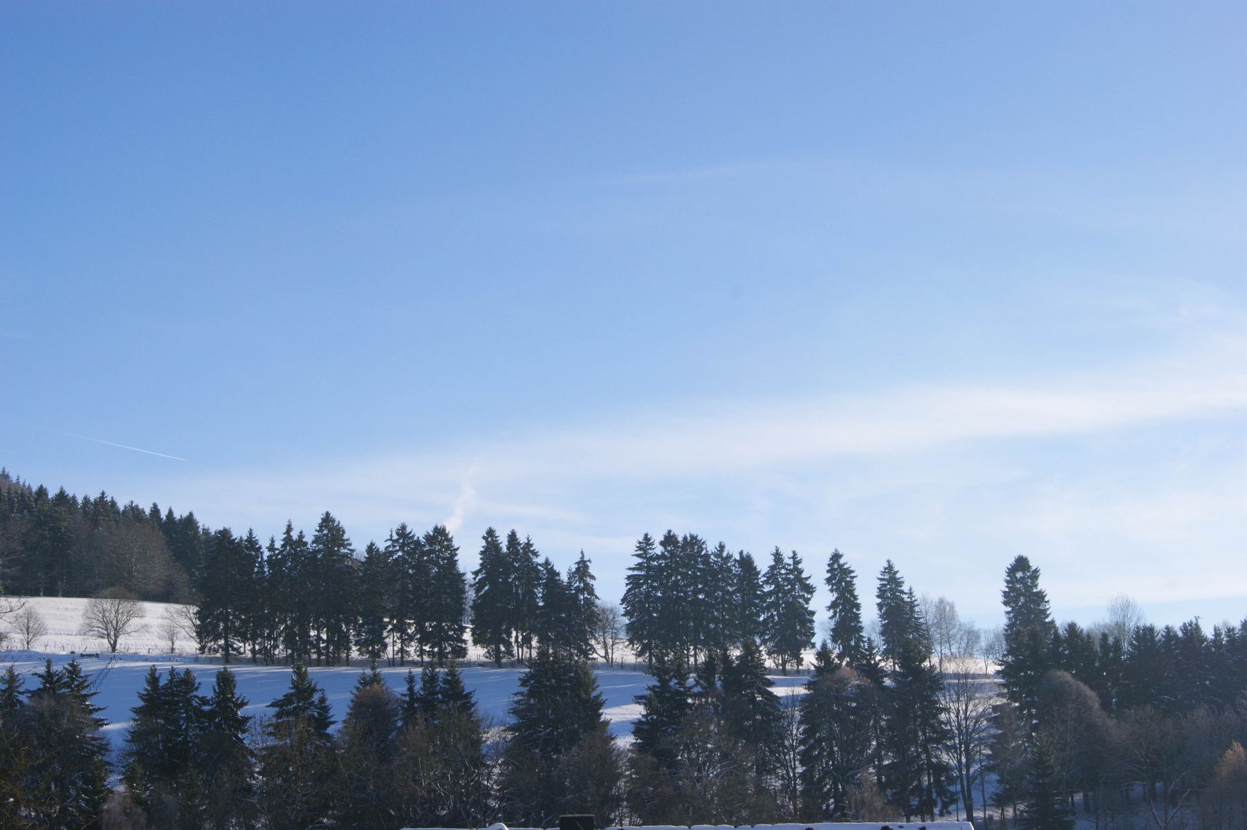 Skidområde