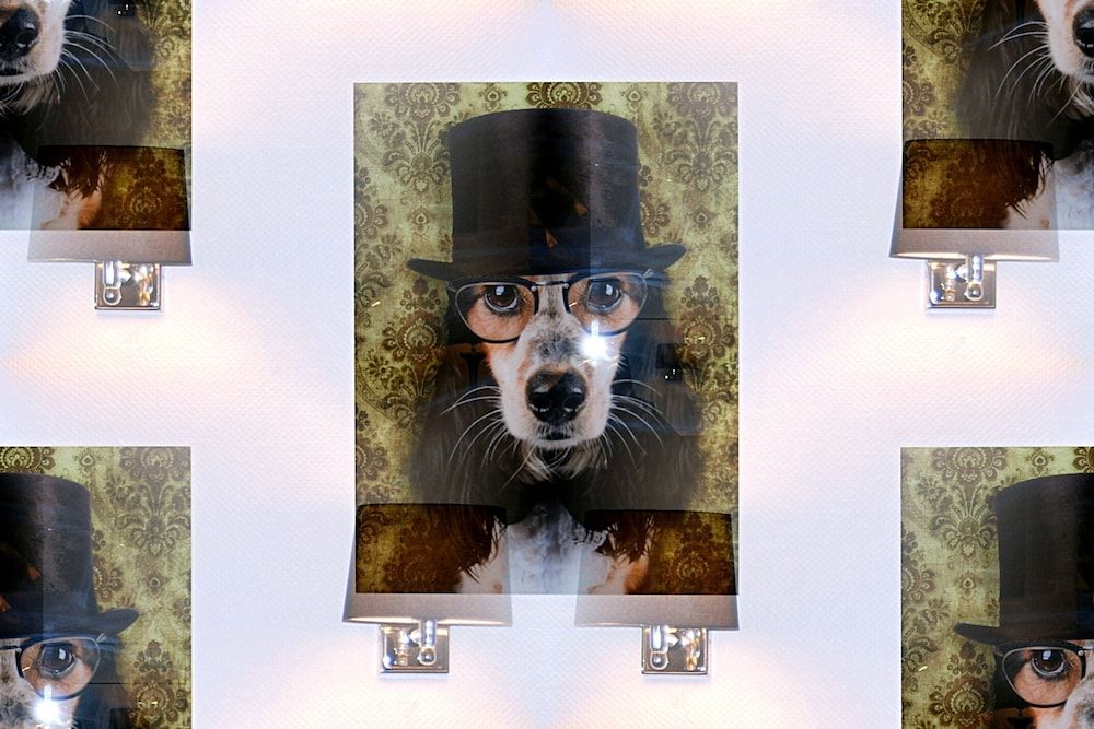 Generell