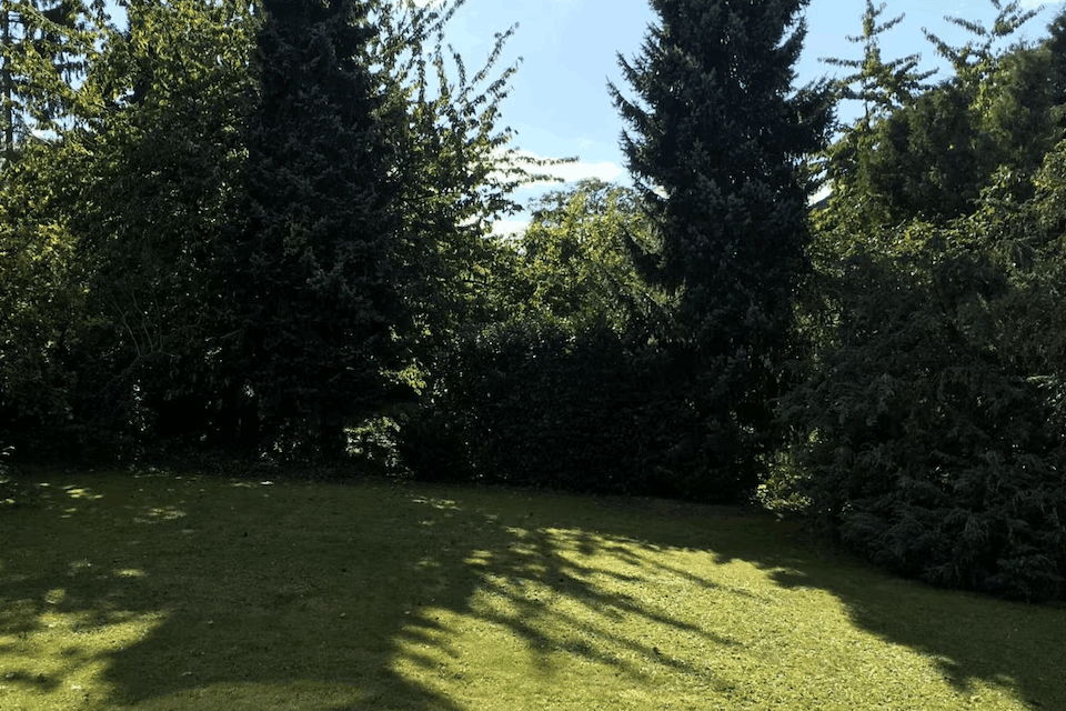 Omgivning