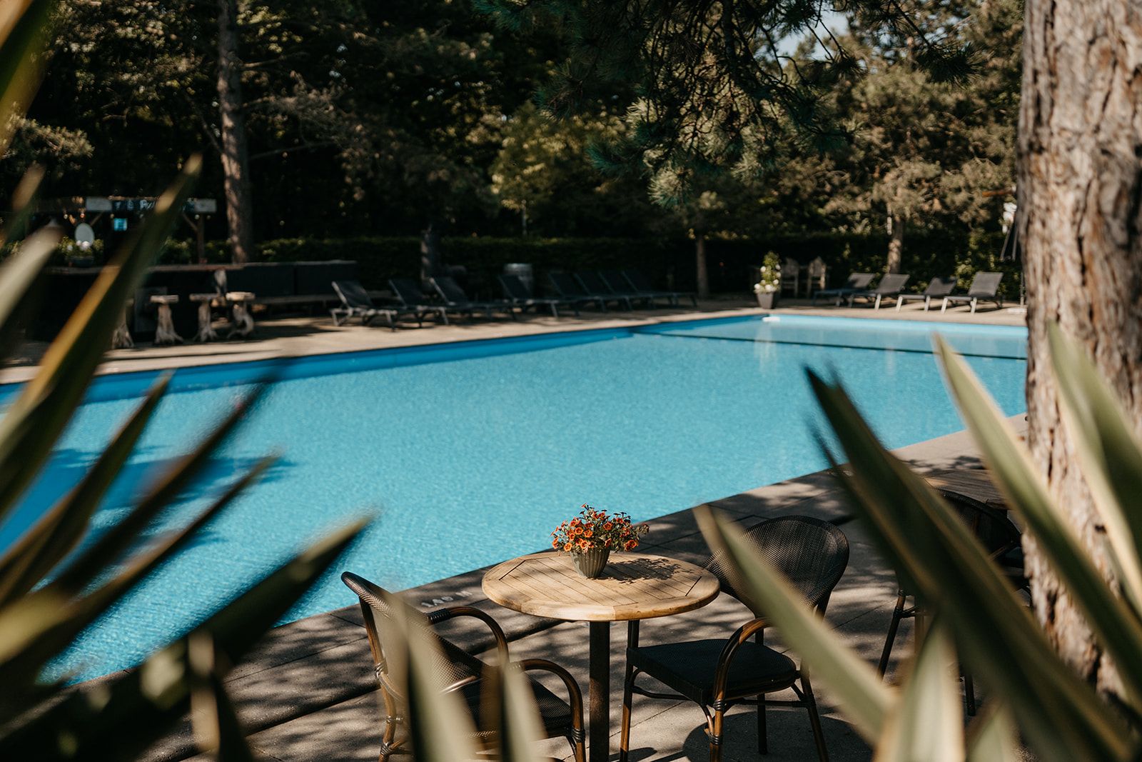 Simnning / Pool