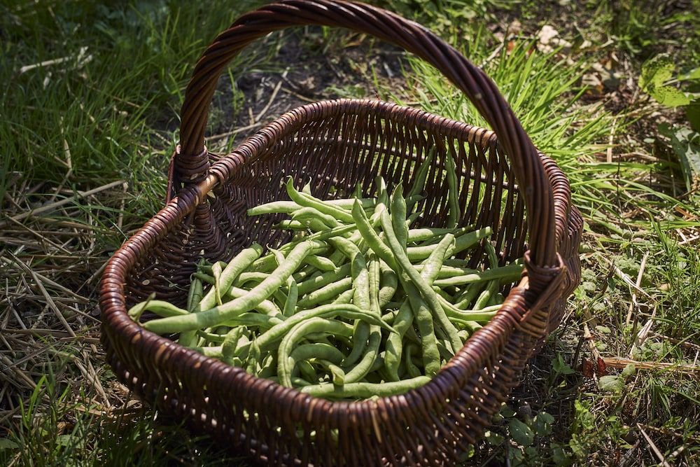 Generell