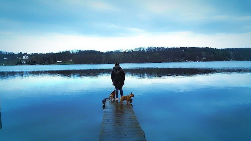 Generell