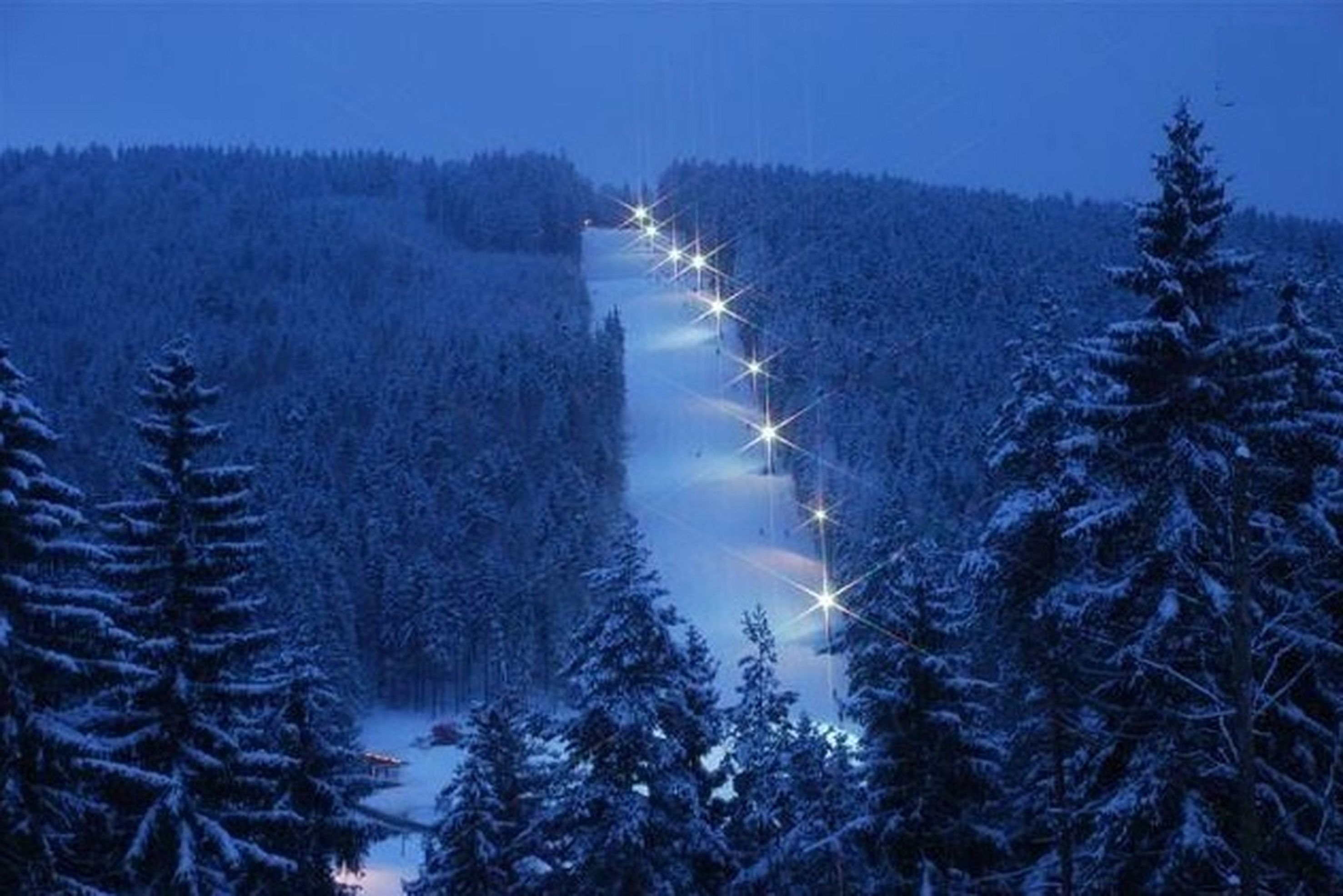 Skidområde