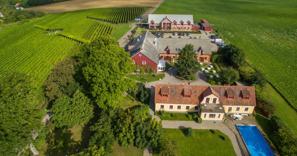 Fladie Mat Och Vingard () Fladie Mat Och Vingard