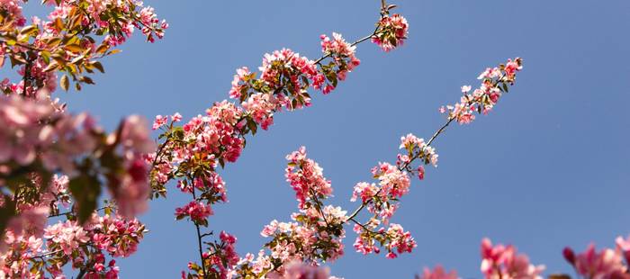 Spring Sale - upp till 65% rabatt