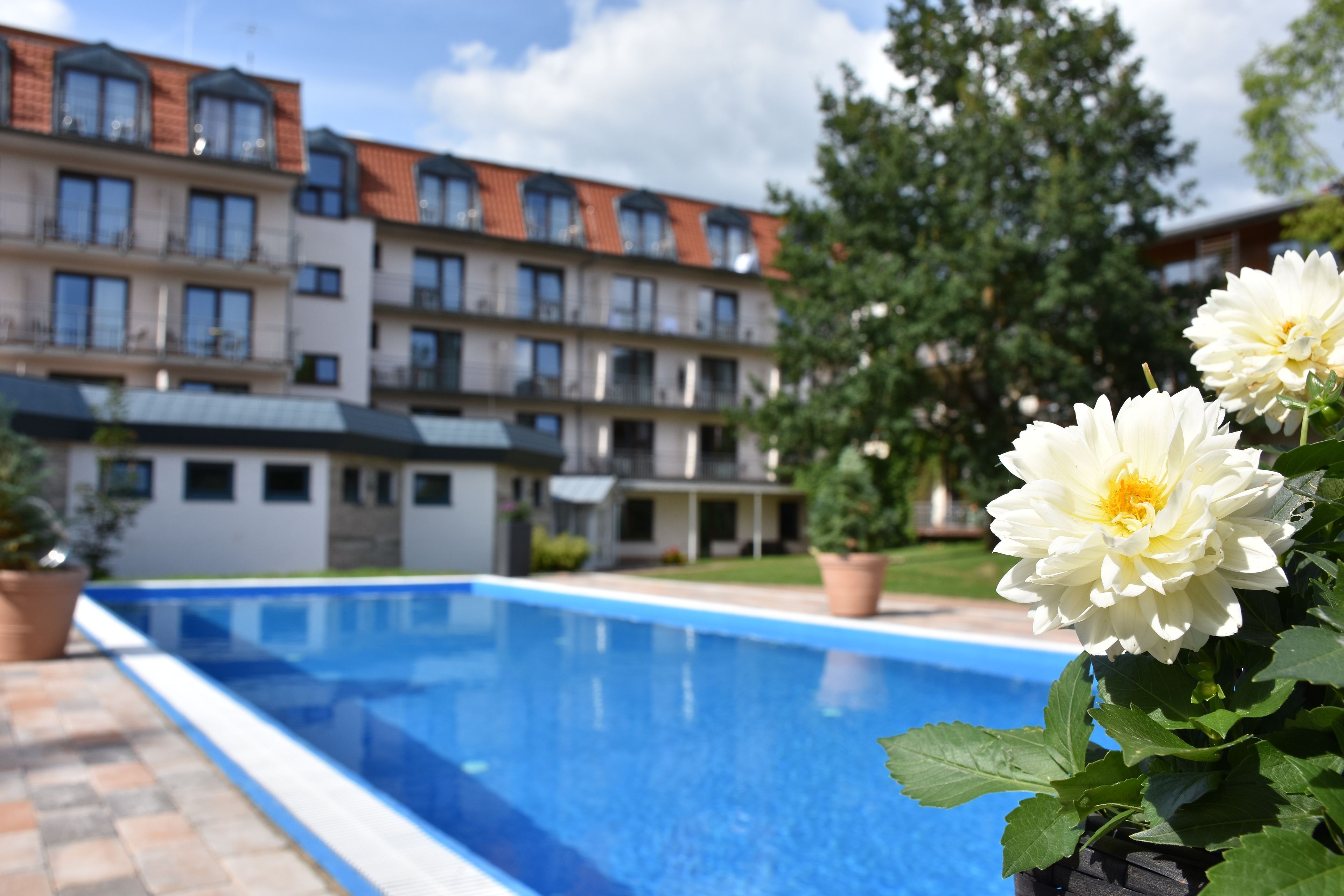 Simnning / Pool
