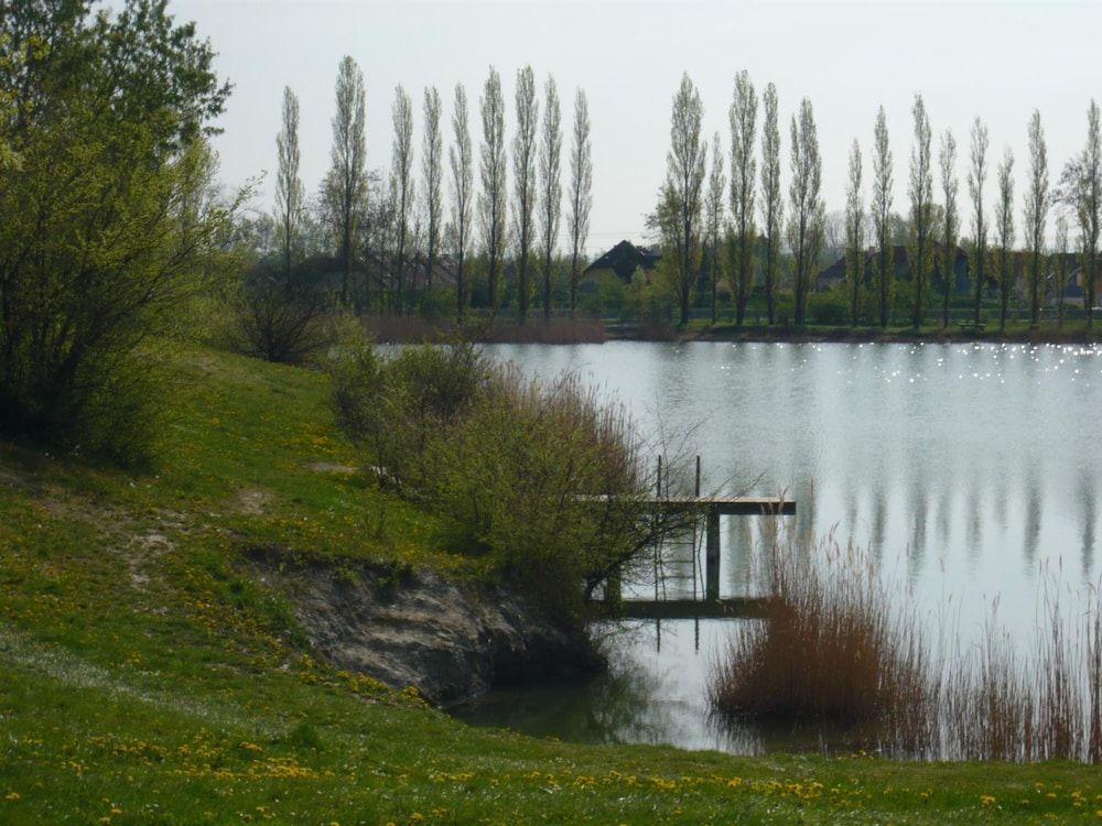 Generell