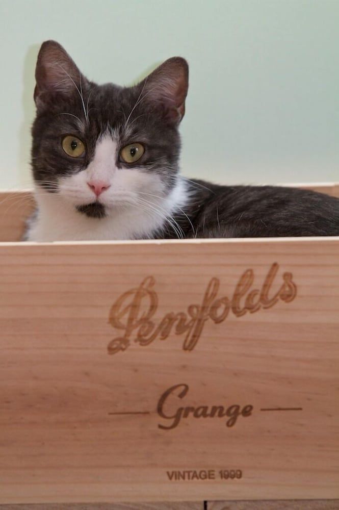 Generell