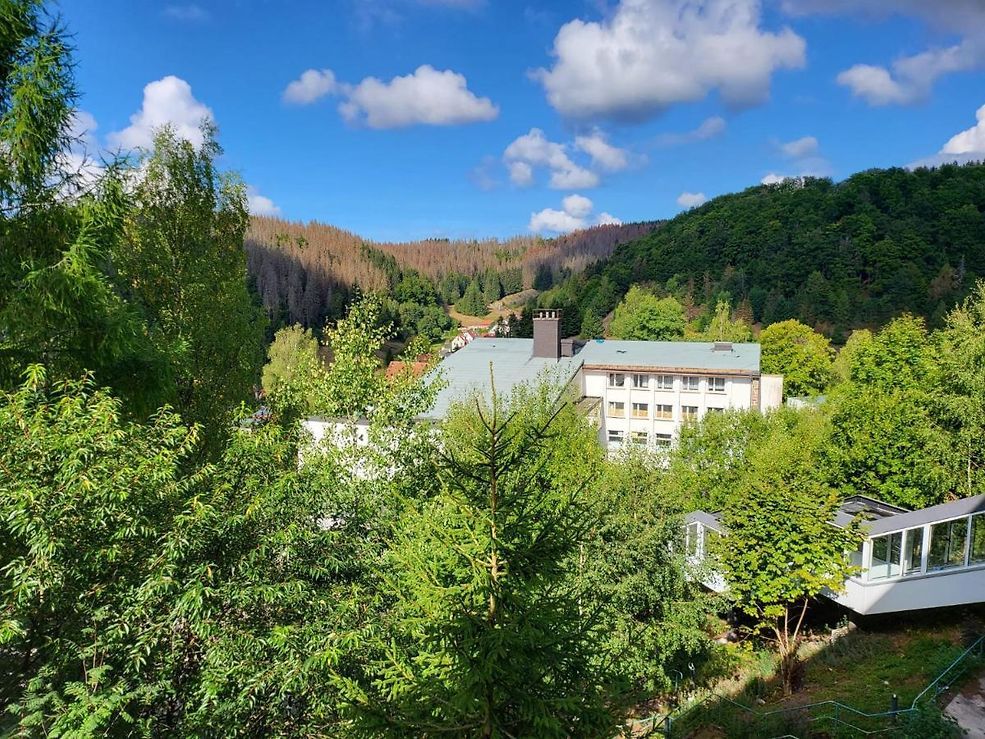 Byggnad
