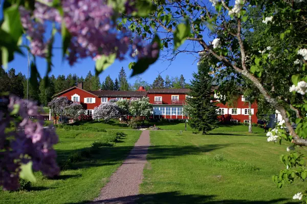 Gyllene Hornet - Sista minuten-erbjudande - FRONT