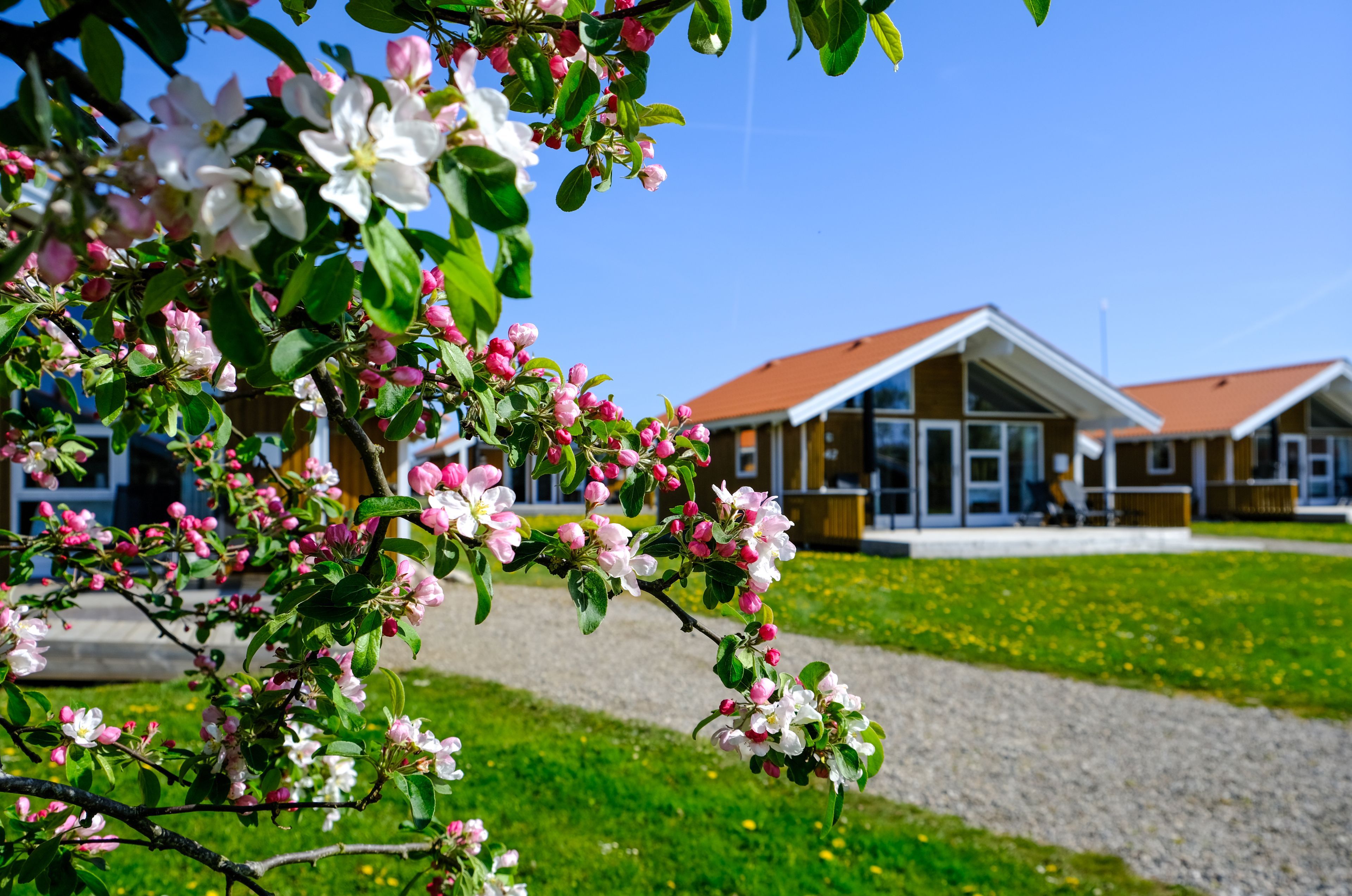 category_accommodation