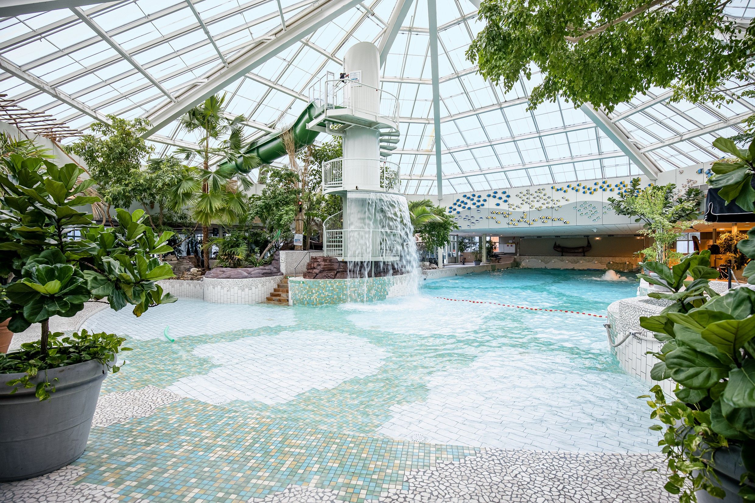 Simnning / Pool