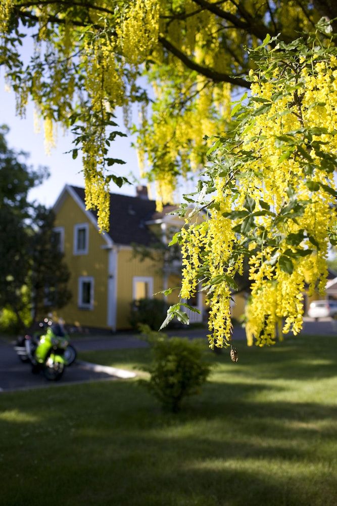 Generell