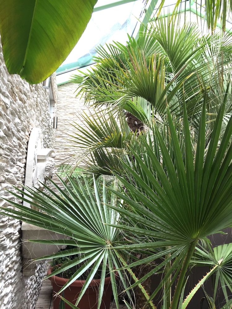 Generell