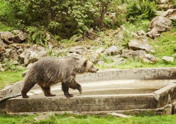 Hotell nära Skånes Djurpark