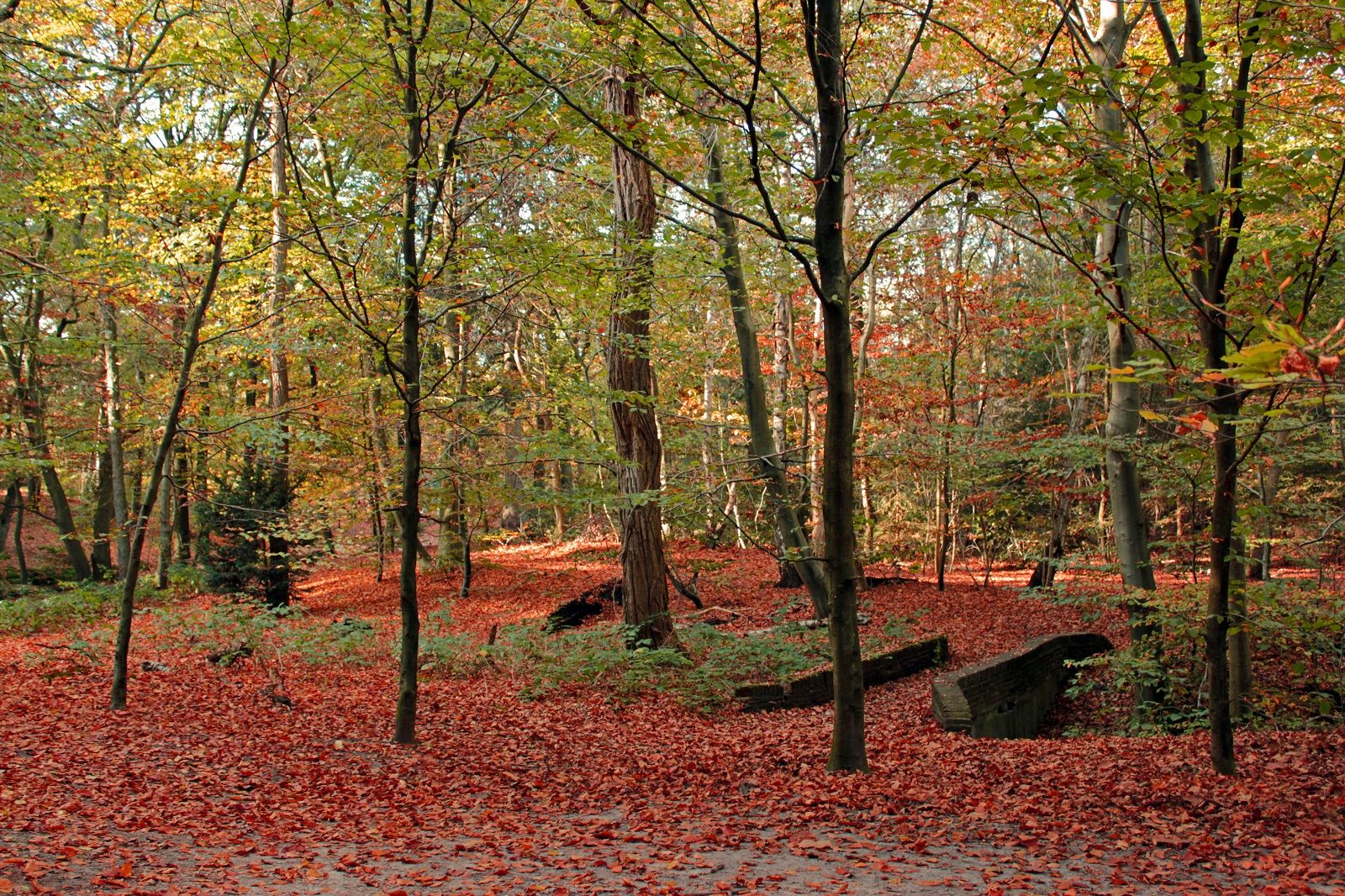 Corona Zeist-Utrecht i Zeist - Boka de bästa erbjudandena!
