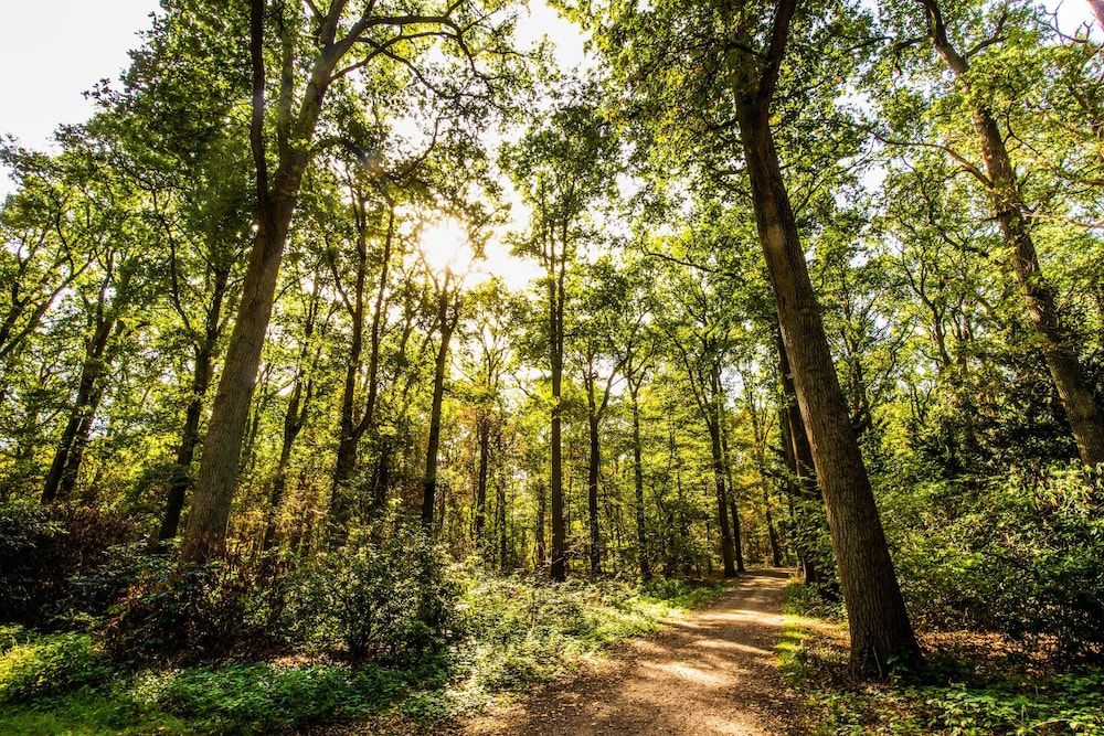 Generell